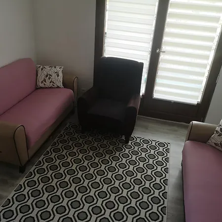 Bel Appartement, Grand Balcon Et Parking Prive Sélestat