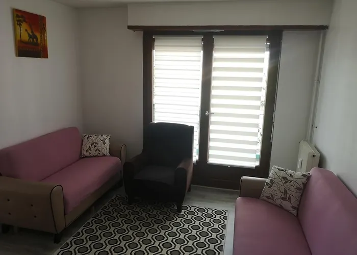 Bel Appartement, Grand Balcon Et Parking Prive *