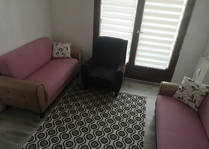 Bel Appartement, Grand Balcon Et Parking Prive Sélestat